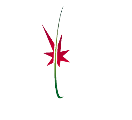 Brasil Monaco Project